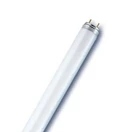Fluorescent tubes T8/G13 »