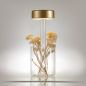 Preview: Gold battery lamp terrace glass Maytoni AI Collaboration