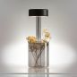 Preview: Schwarze Akku Leuchte Terrasse Rauchglas Maytoni AI Collaboration