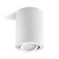 Mobile Preview: Surface mounted ceiling spot light OH36L tiltable white