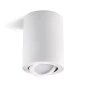 Preview: Surface mounted ceiling spot light OH36L tiltable white