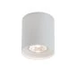 Preview: Planlicht round ceiling lamp Spotlight 80R