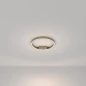 Preview: Golden LED ceiling lamp in ring shape Ø:40cm
