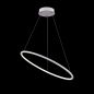 Preview: Maytoni Nola LED pendant light ring 100cm white