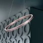 Preview: Ring pendant lamp Loop in Rose Ø:50cm up/down