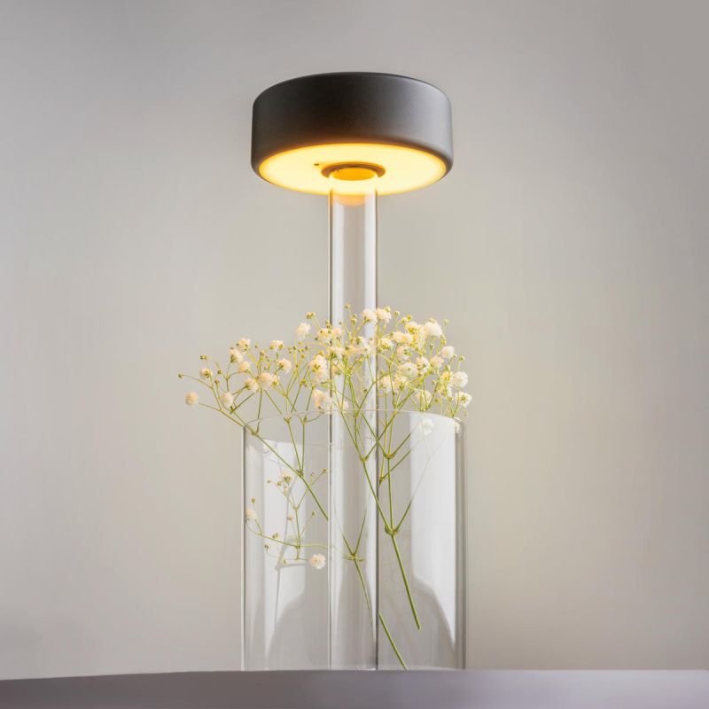 Preview: Black battery lamp terrace glass Maytoni AI Collaboration