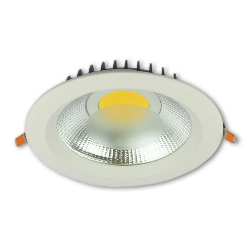 Outdoor LED downlight IP54 warm white 30W