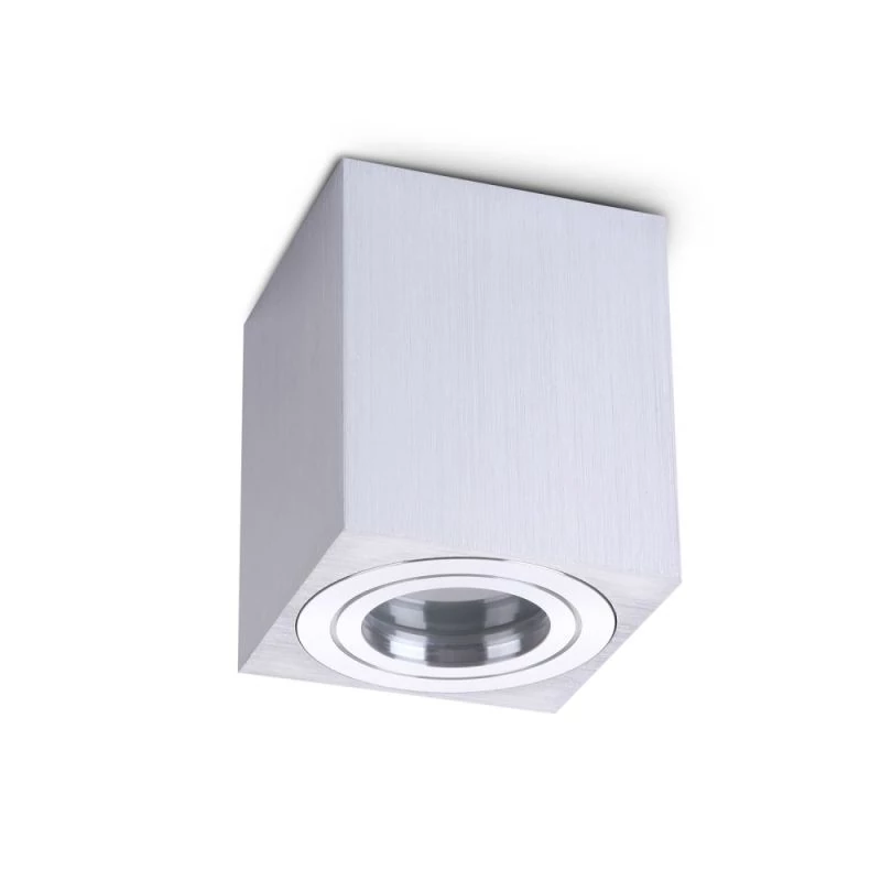 Bathroom ceiling lamp Aquarius square IP44 silver