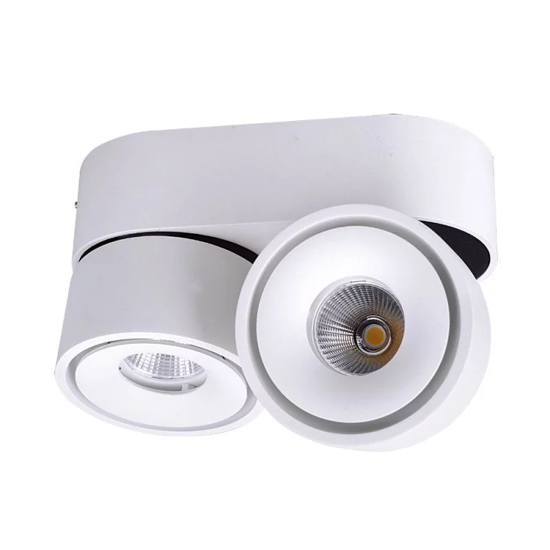 White 2-flame LED ceiling spotlight - dimmable