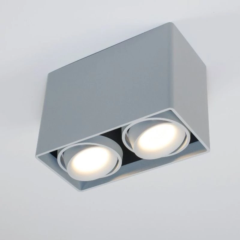 Planlicht LED cube ceiling lamp Dundee twin 2-flames