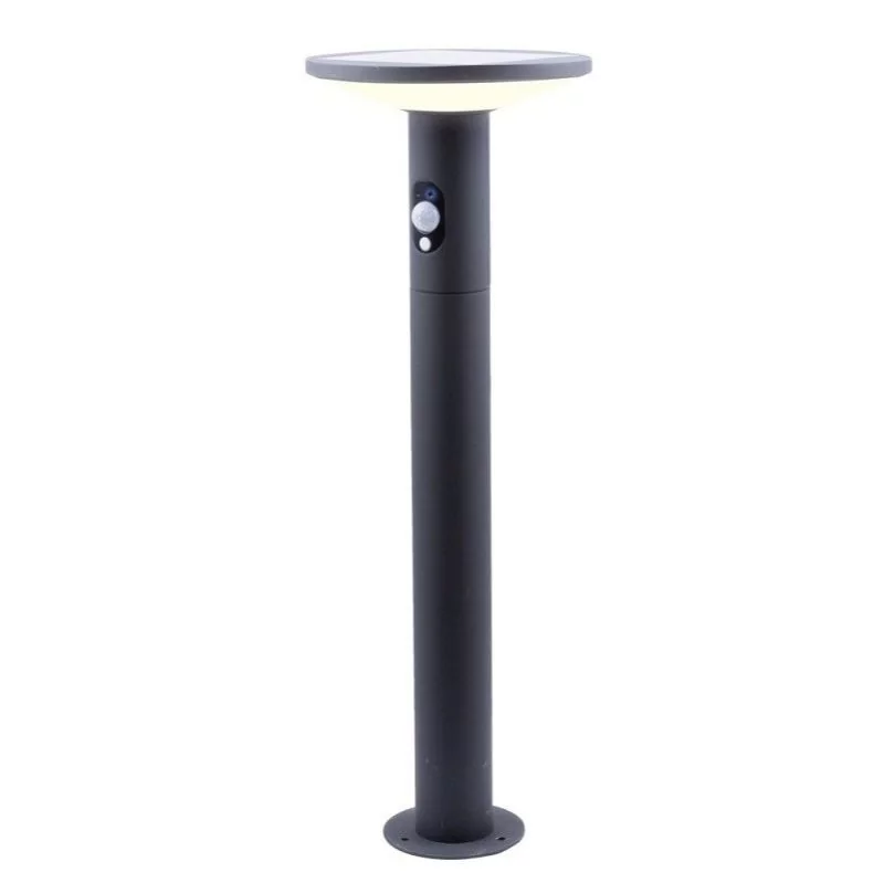 Solar LED floor lamp Karina with sensor 100cm