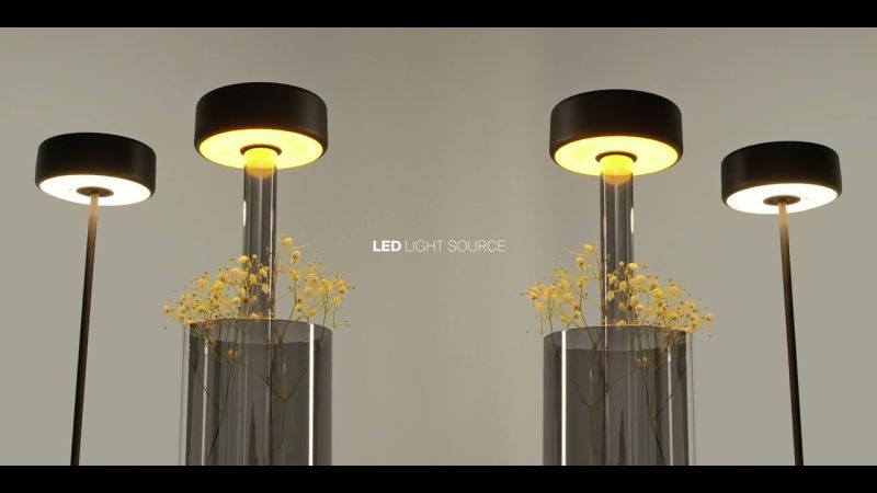 Maytoni AI Collaboration Akkuleuchte mit Vase Rauchgrau