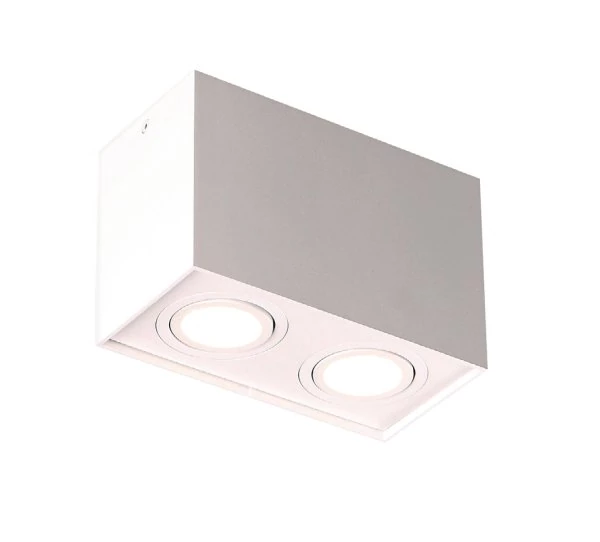 MaxLight Basic Square 2 ceiling spotlight 2 flame white