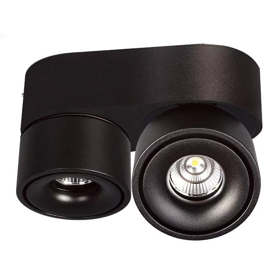 Tiltable LED ceiling spotlight in black with 2 spotlights