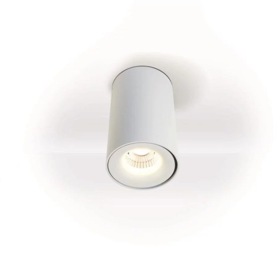 Planlicht LED ceiling spotlight Dublin round