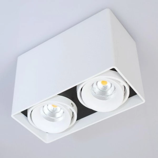 Planlicht cube ceiling lamp Dundee twin 2-flames