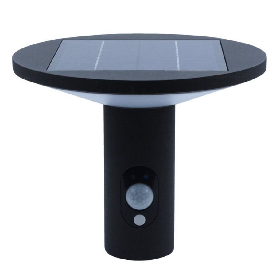 Solar LED wall lamp Karina with sensor
